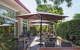 Ibis Cornella